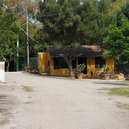 Camping Village Canapai Rio Marina Exterior foto